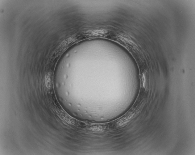 X0000062671395200601040957