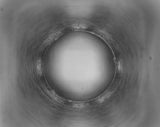 X0000062671396200601040957