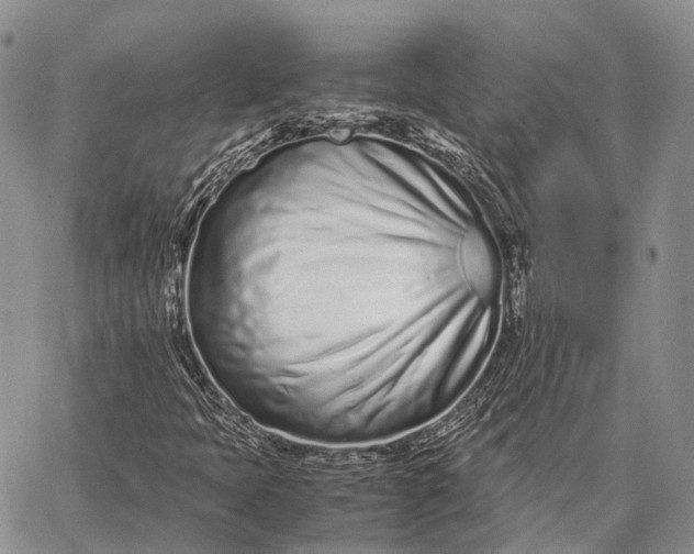 X0000062671397200601040957