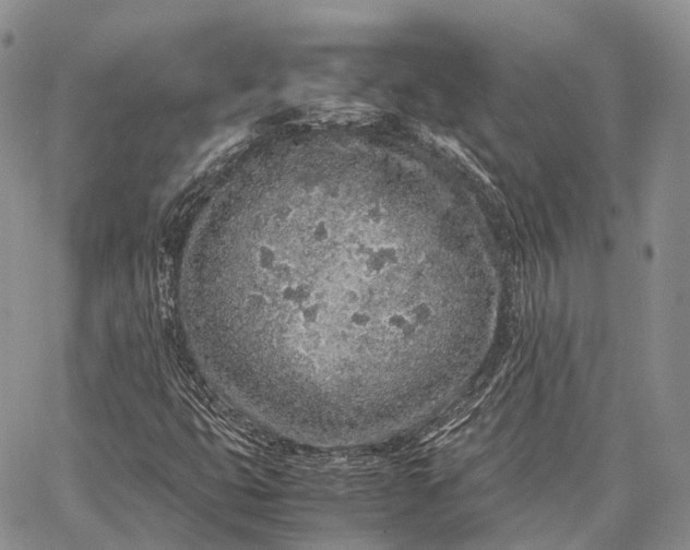 X0000062671399200601040957