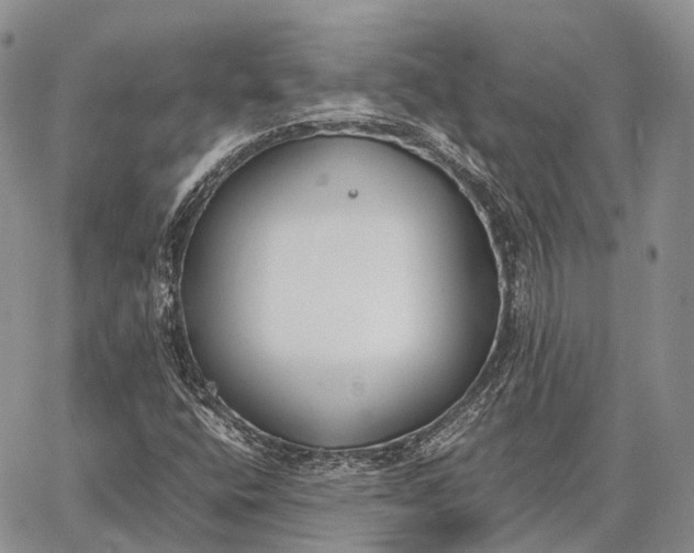 X0000062671400200601040957