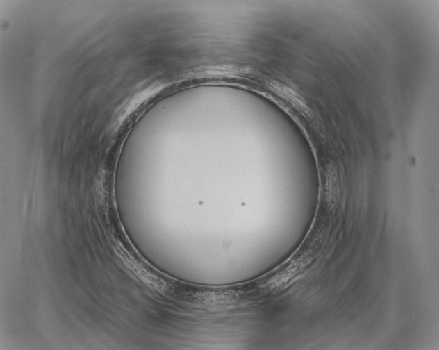 X0000062671404200601040957