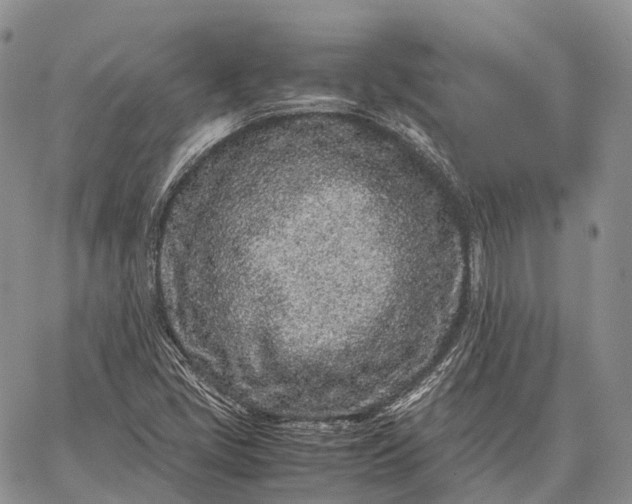 X0000062671405200601040958