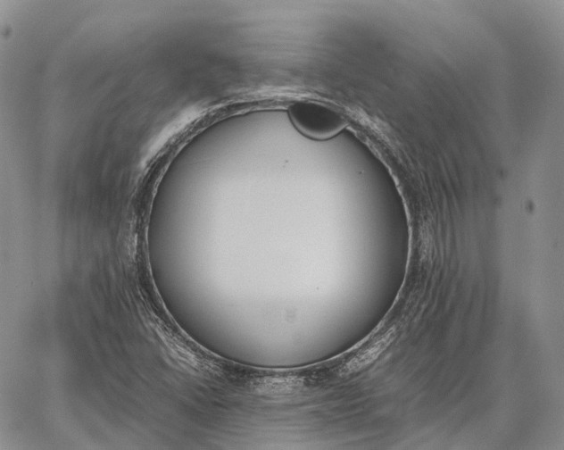 X0000062671406200601040958