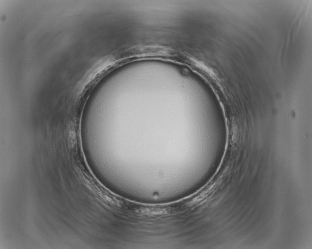 X0000062671407200601040958