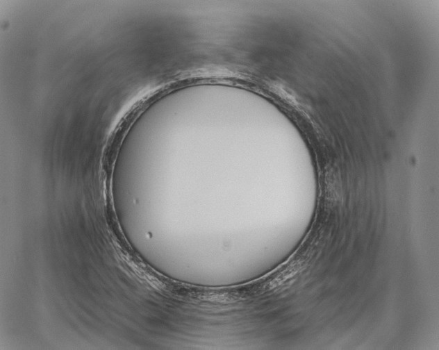 X0000062671408200601040958