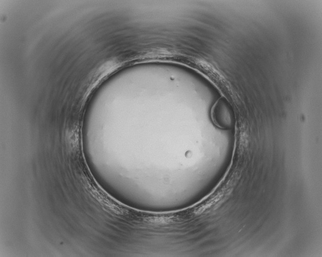 X0000062671409200601040958