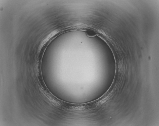 X0000062671410200601040958