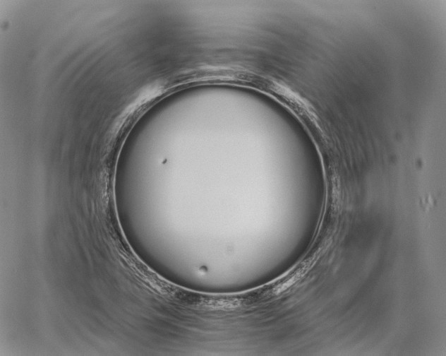 X0000062671411200601040958