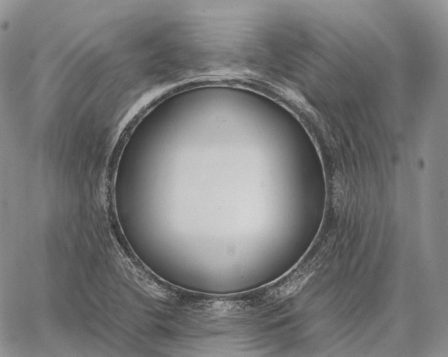 X0000062671412200601040958