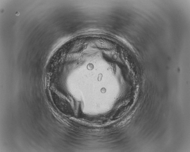 X0000062671413200601040958