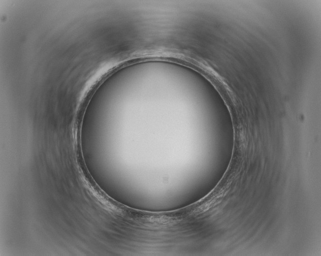 X0000062671416200601040958