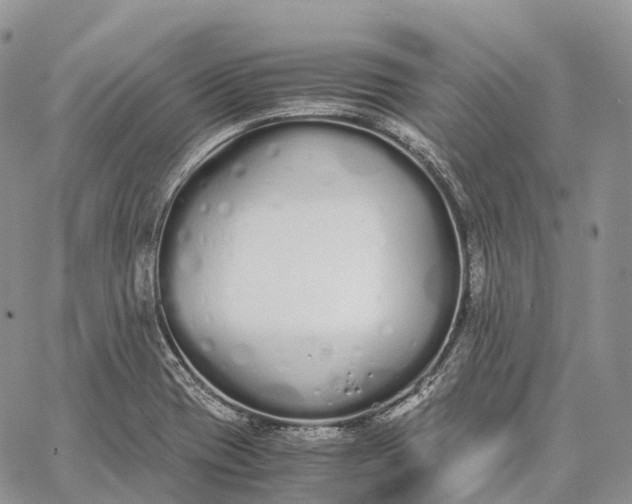 X0000062671417200601040958