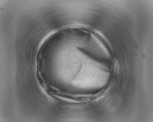 X0000062671418200601040958