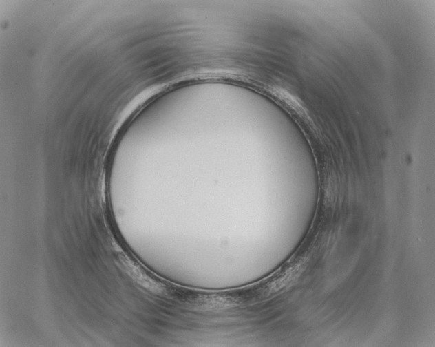 X0000062671420200601040958