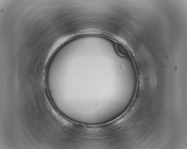 X0000062671421200601040958