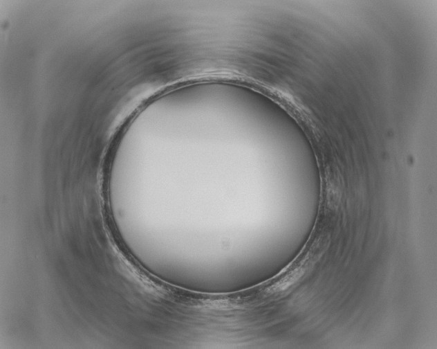 X0000062671422200601040958