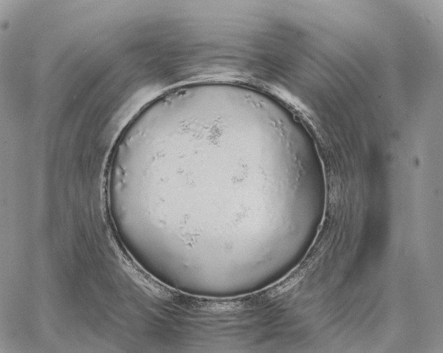 X0000062671423200601040958