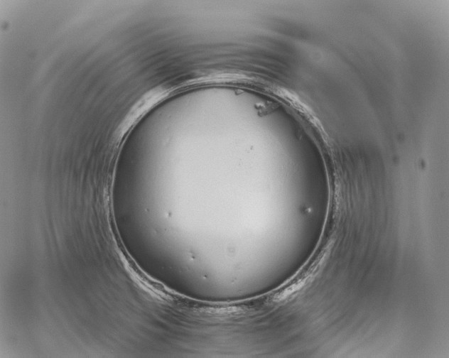 X0000062671425200601040958