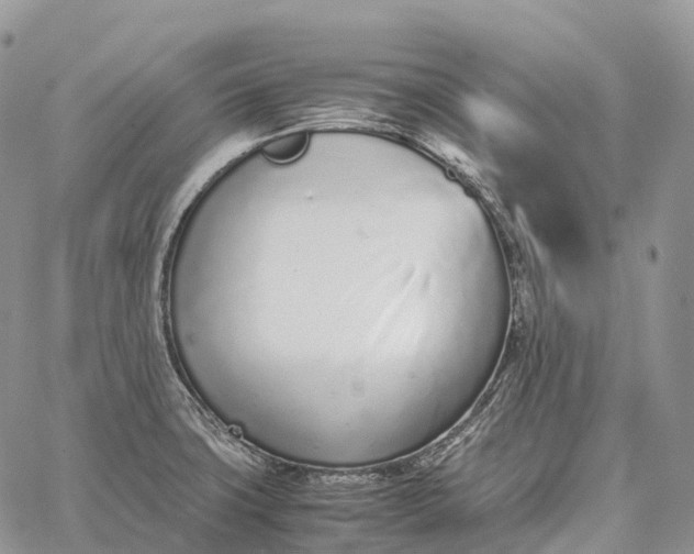 X0000062671427200601040958