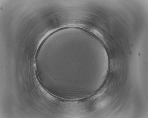 X0000062671428200601040958