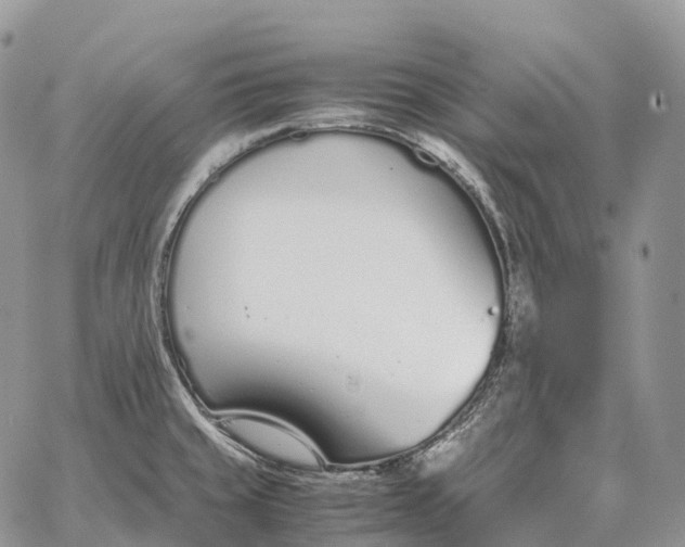 X0000062671429200601040958