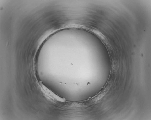 X0000062671430200601040958