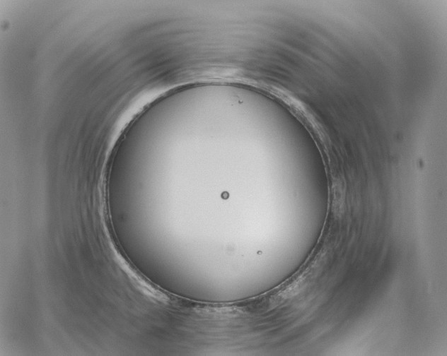 X0000062671432200601040958