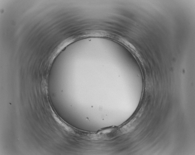 X0000062671433200601040958