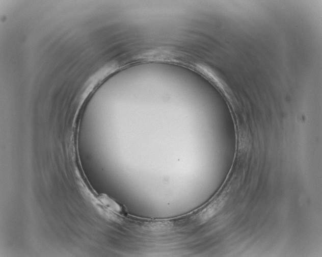 X0000062671434200601040958