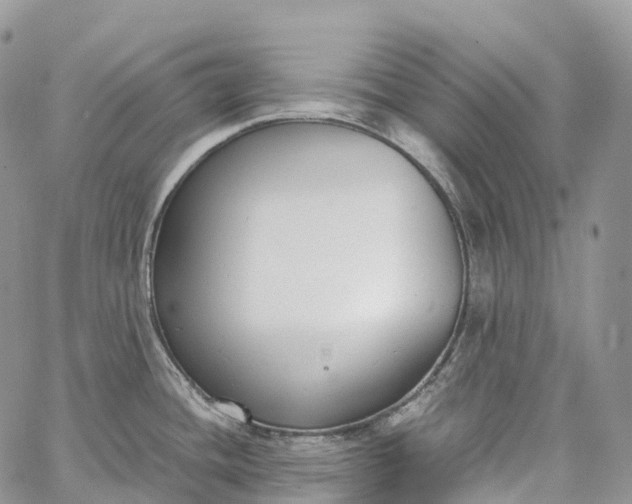 X0000062671436200601040958