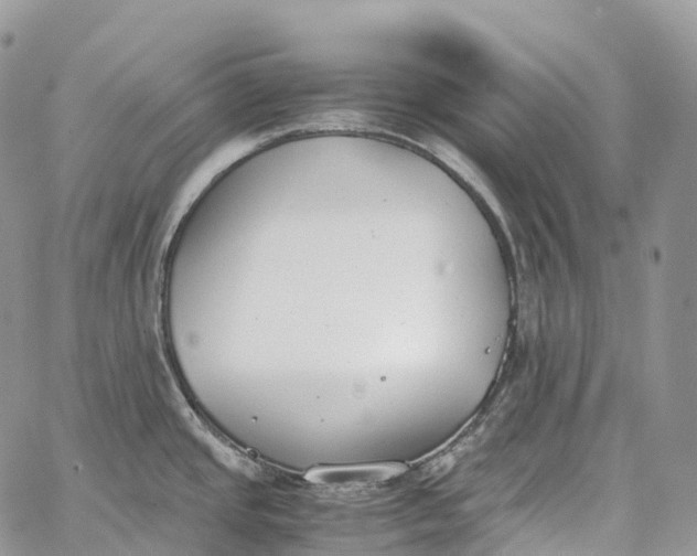 X0000062671437200601040958