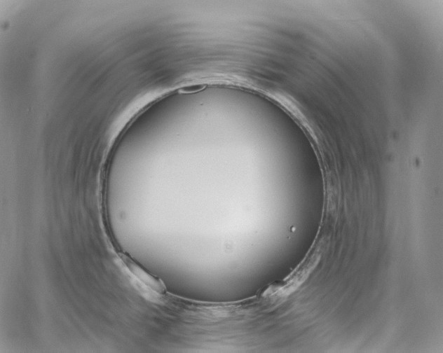 X0000062671438200601040958