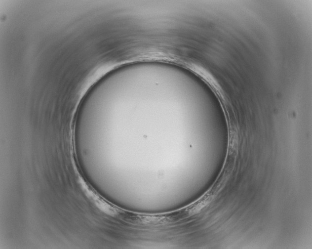 X0000062671439200601040958