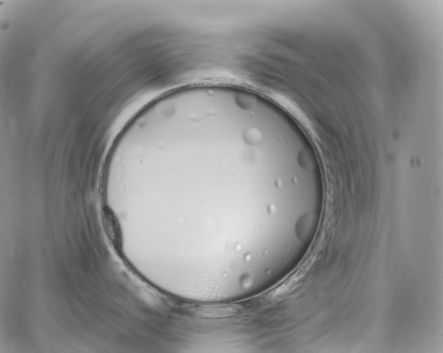 X0000062671440200601040958