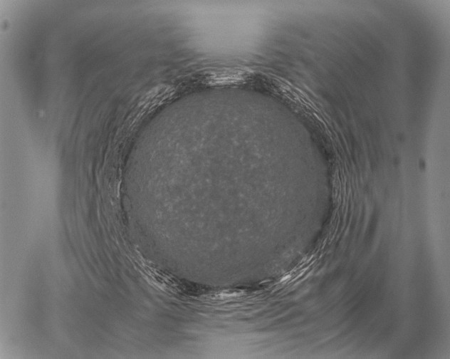 X0000062671441200601040957