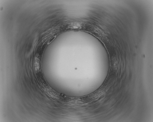 X0000062671442200601040957