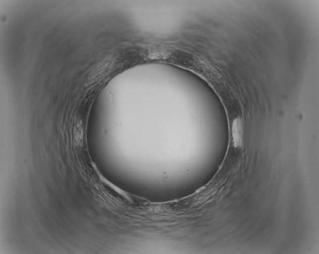 X0000062671443200601040957