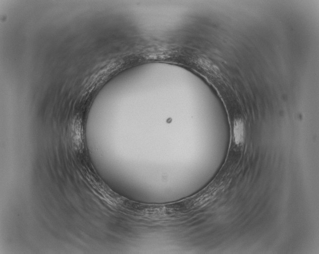 X0000062671444200601040957