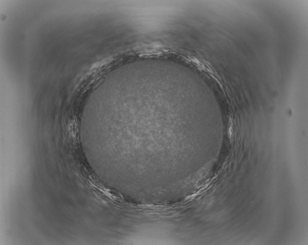 X0000062671445200601040957