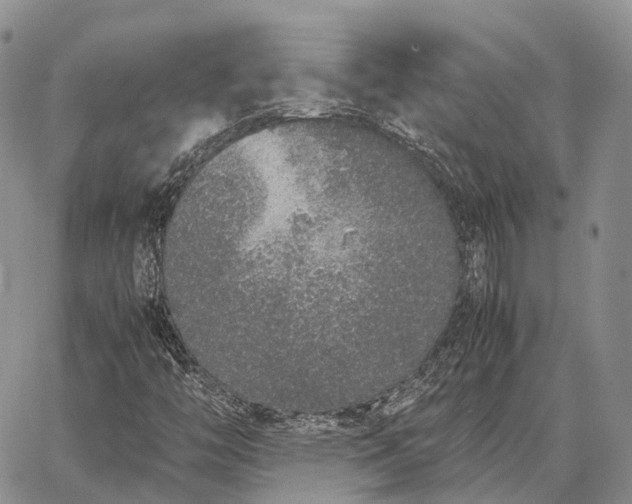 X0000062671446200601040957