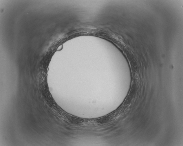 X0000062671447200601040957