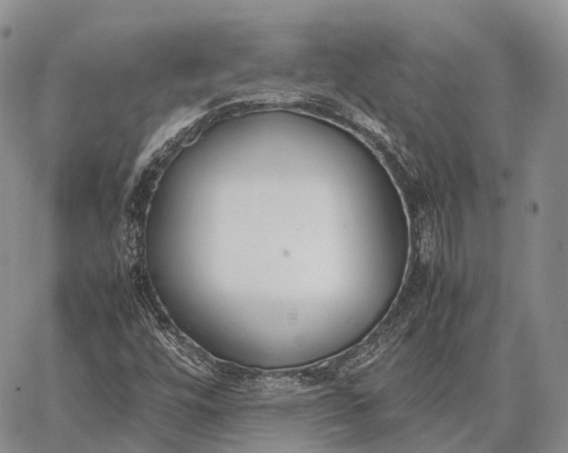 X0000062671448200601040957