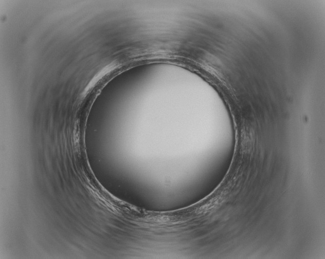 X0000062671450200601040957