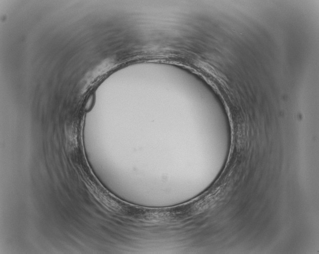 X0000062671451200601040957