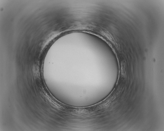 X0000062671452200601040957