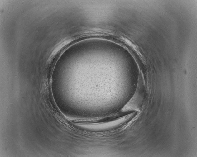 X0000062671453200601040957