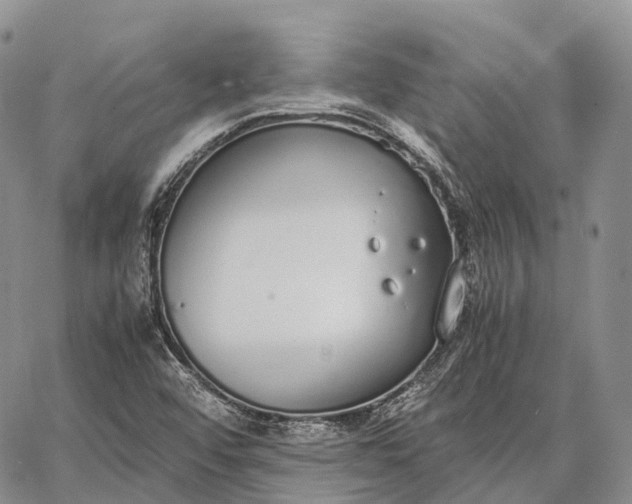 X0000062671456200601040957