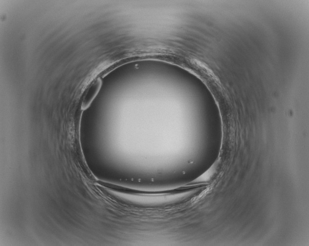 X0000062671457200601040957