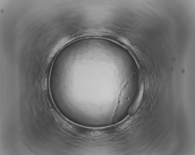 X0000062671459200601040957